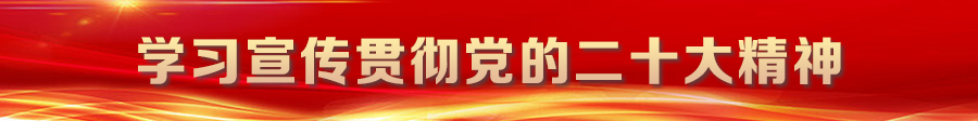 ʮ